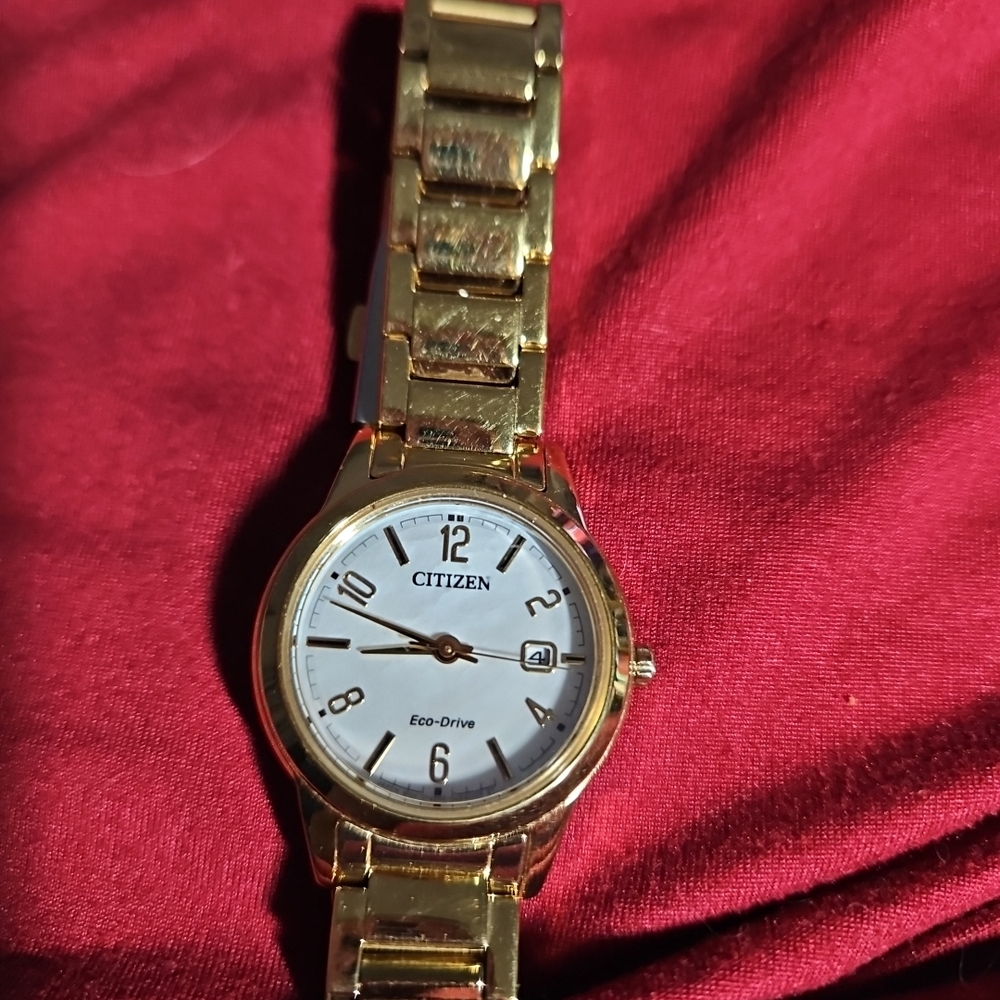 NEW Citizen Gold Eco-Drive Watch